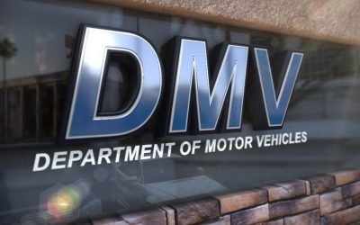 We Want More Government, Regulations + Socialism; We Want more DMV’s