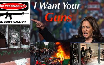 Kamala Harris will COST Joe Biden Votes, not Bring them in-  New Gun Owners Explain Why