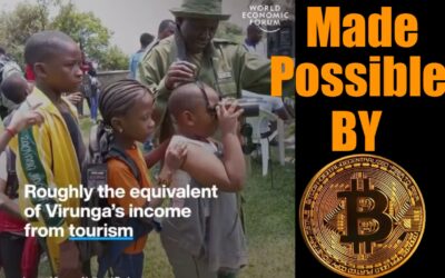 How Bitcoin’s Incentives are VISIBLY Changing the World for the Better — According to the WEF!!!